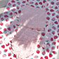 Vintage Sweetheart Two Piece Swimsuit Pink BOTTOM PREORDER