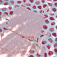 Vintage Sweetheart Two Piece Swimsuit Pink TOP PREORDER